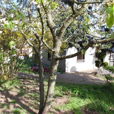 Willa Ferienhaus Santo Nordhausen Zewnętrze zdjęcie