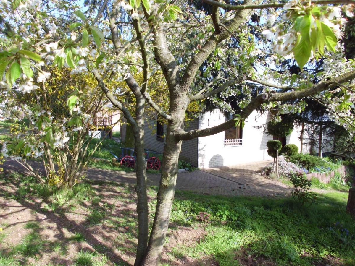 Willa Ferienhaus Santo Nordhausen Zewnętrze zdjęcie